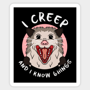 Creepy Possum Sticker